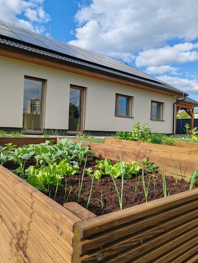 Okrasné dřeviny a výsadba na pozemku