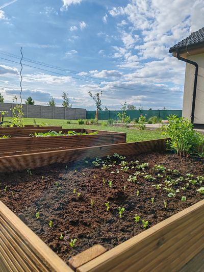 Příprava wellness zóny na zahradě