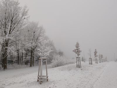 Zimní alej podél Ottova parku